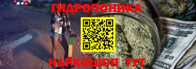 молекула духа Жуковский
