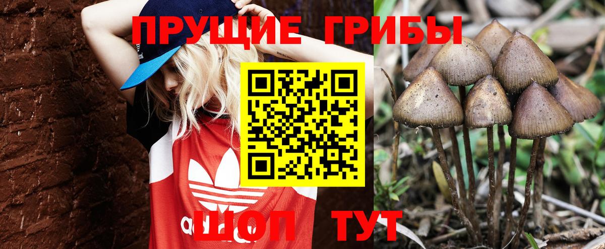 Галлюциногенные грибы GOLDEN TEACHER Борисоглебск