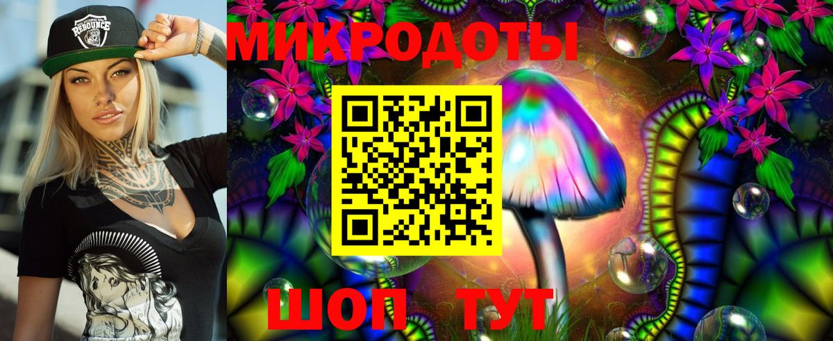 Борисоглебск  Псилоцибиновые грибы Psilocybe  Вход с VPN  Псилоцибиновые грибы ЛСД 